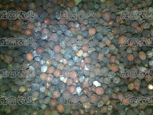 ����������������