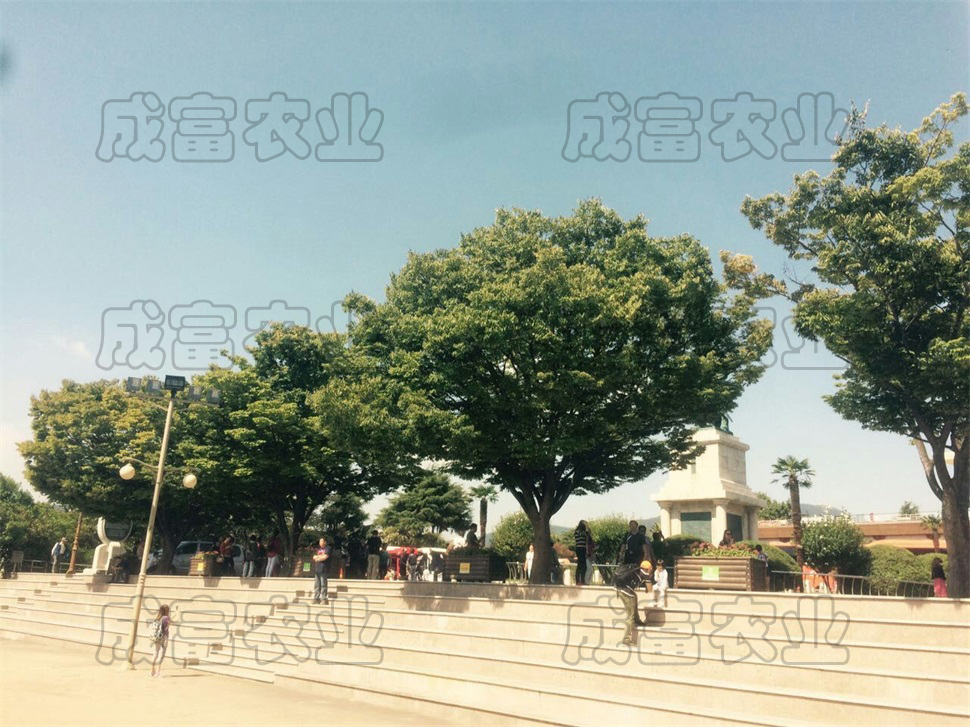 10�������ϴ����