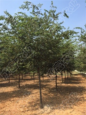 2-5�������